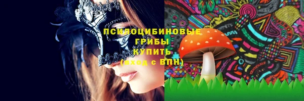 экстази Белокуриха