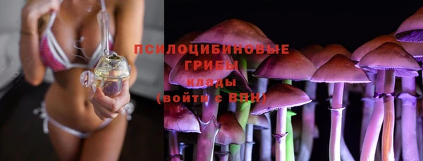 PSILOCYBIN Белоозёрский