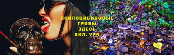 PSILOCYBIN Белоозёрский