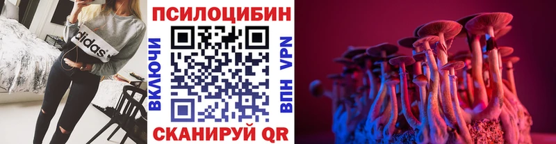 Галлюциногенные грибы GOLDEN TEACHER  Бологое 