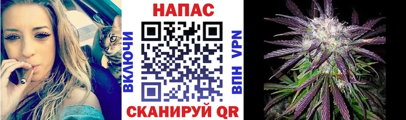 магазин    KRAKEN зеркало  Конопля Amnesia  Бологое 